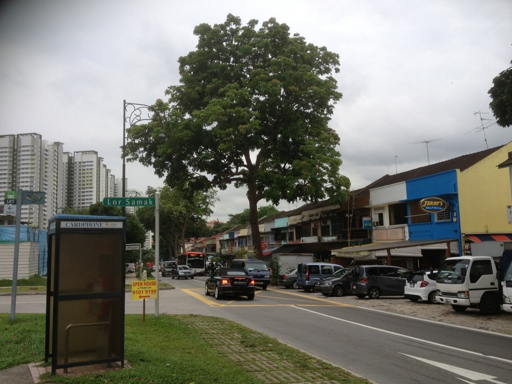 Nature Ramble from Jalan Kayu to Punggol Park