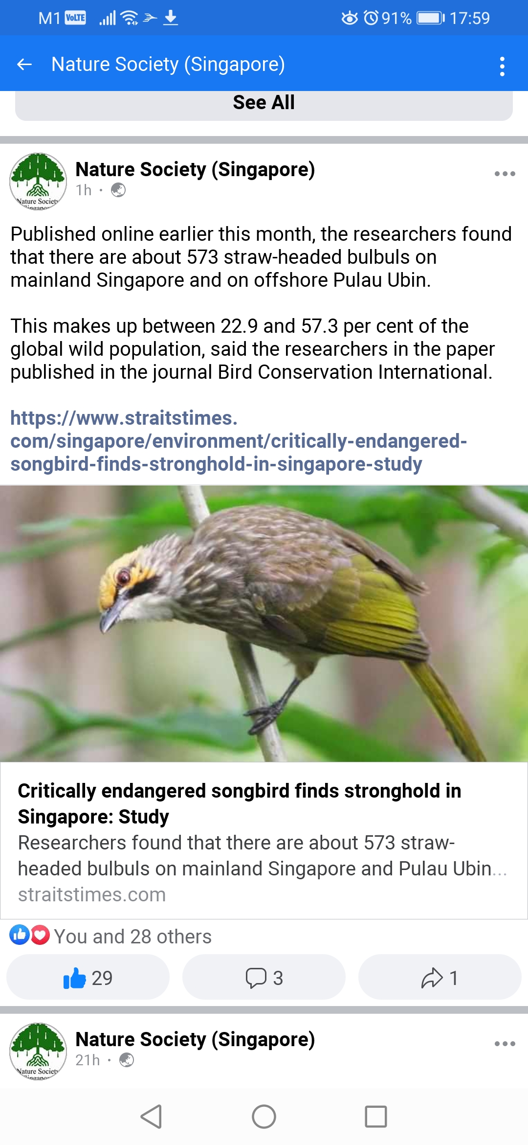 Help save our critically endangered straw-headed bulbuls and their natural habitats