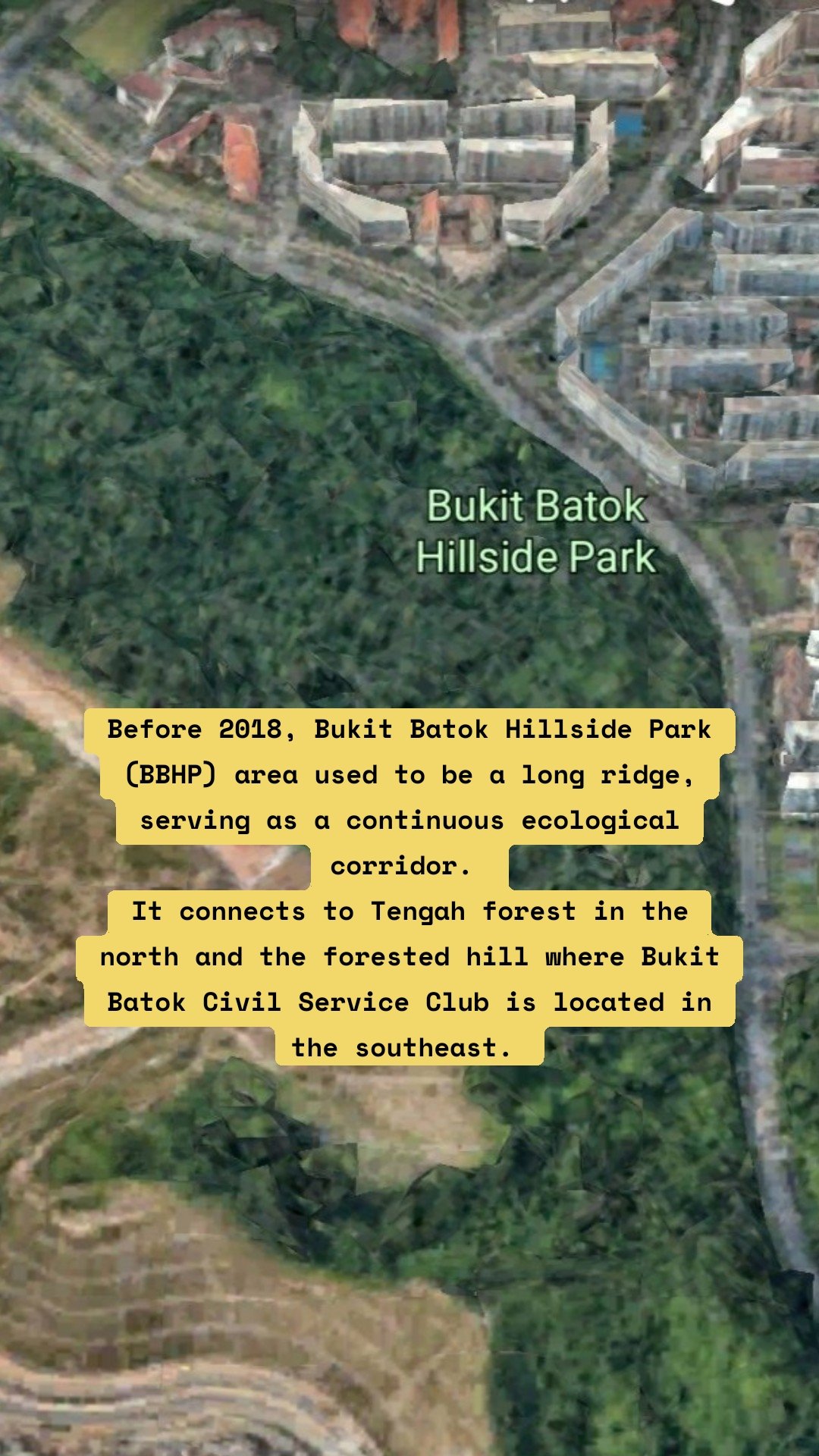 Bukit Batok Hillside Park area: what it used to be, and what we may lose if parts of the forest are destroyed for development